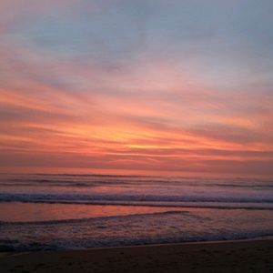 Meet your Posher, Jillian